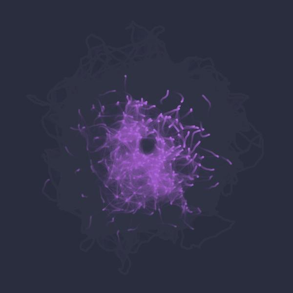 Particle Swarm Attractors thumbnail